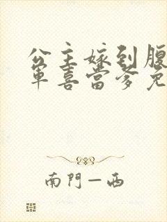 公主嫁到腹黑将军喜当爹免费