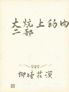 大炕上的肉伦第二部