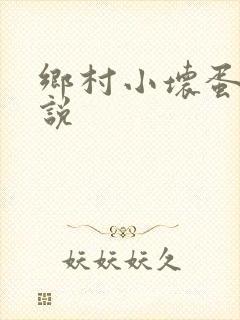 乡村小坏蛋 小说