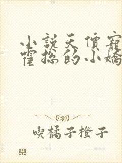 小说天价宠妻:霍总的小娇妻