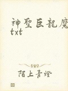 神圣巨龙魔法师txt