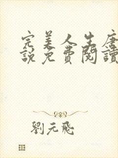 完美人生唐诚小说免费阅读