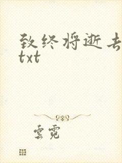 致终将逝去青春txt