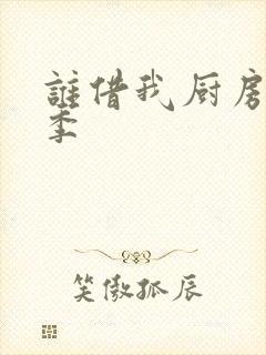 谁借我厨房第三季