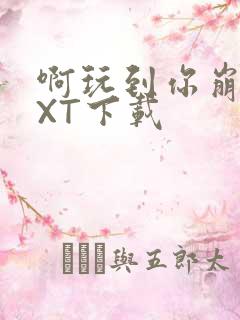 啊玩到你崩溃TXT下载