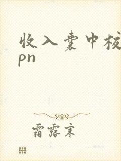 收入囊中校园hpn