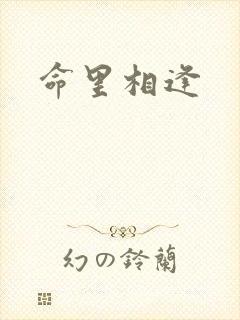 命里相逢