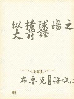 纵横球场之暴力大前锋