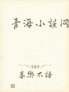 青海小说网