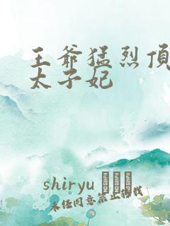 王爷猛烈顶弄H太子妃