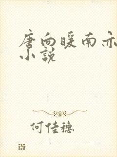 唐向暖南亦琛的小说