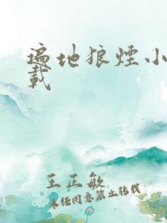 遍地狼烟小说下载