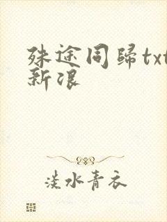 殊途同归txt新浪