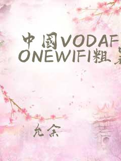 中国VODAFONEWIFI粗暴APP