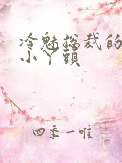 冷魅总裁的纯纯小丫头