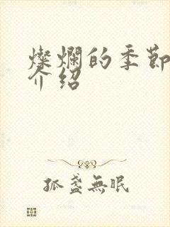 灿烂的季节剧情介绍