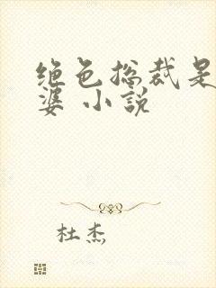 绝色总裁是我老婆 小说