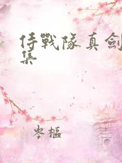 侍战队真剑者全集