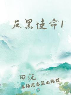 反黑使命1