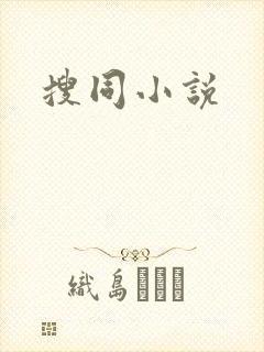 搜同小说