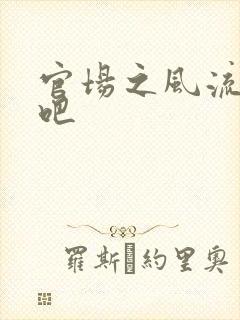 官场之风流人生吧