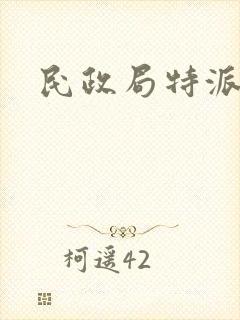 民政局特派对象