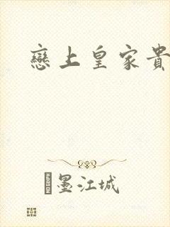 恋上皇家贵公主