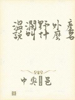 温澜野外产子小说叫什么名字