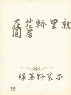 在花轿里就开始圆房