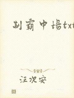 制霸中场txt