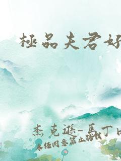 极品夫君好又多