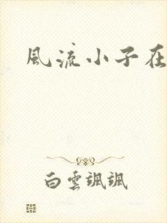 风流小子在异世