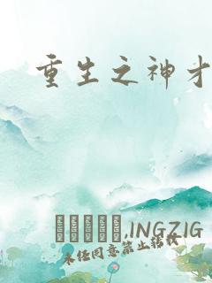 重生之神才风流