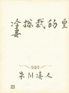 冷总裁的皇后暖妻