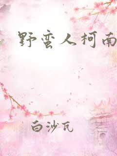 野蛮人柯南小说