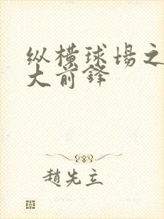 纵横球场之暴力大前锋