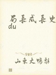 局长成长史sodu