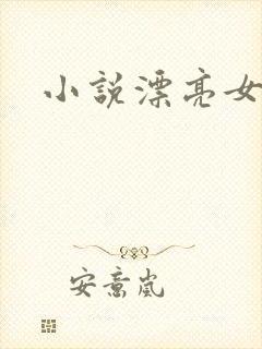 小说漂亮女局长