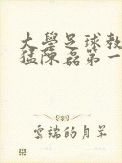 大学足球教练王猛陈磊第一篇