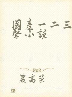 国产一二三区有声小说