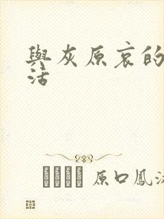 与灰原哀的h生活