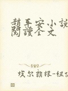 赵平安小说免费阅读全文