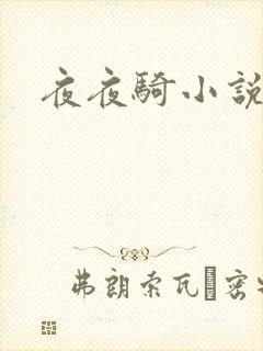 夜夜骑小说