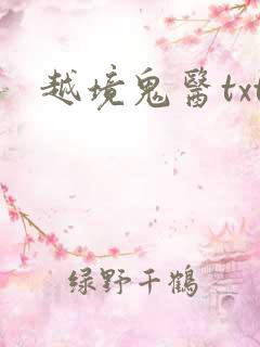 越境鬼医txt