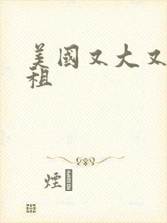 美国又大又长又租