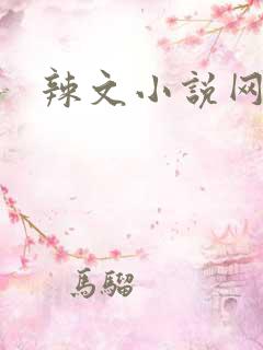 辣文小说网