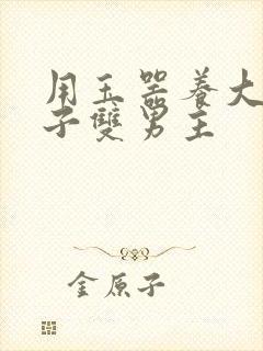 用玉器养大的皇子双男主