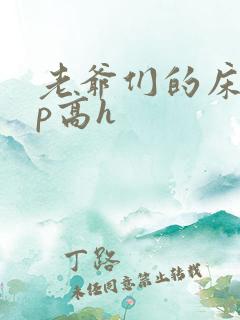 老爷们的床奴np高h