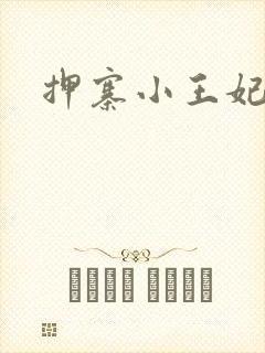 押寨小王妃