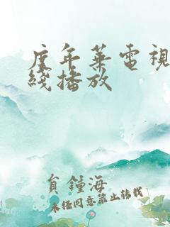 度年华电视剧在线播放